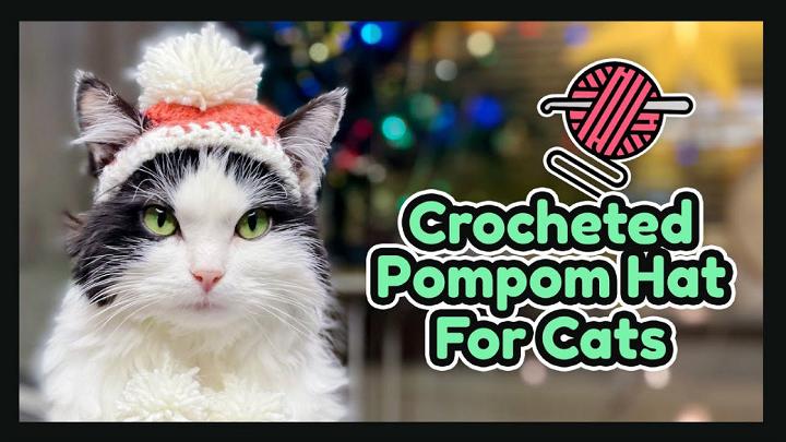 Crocheted Pompom Cat Beanie Pattern