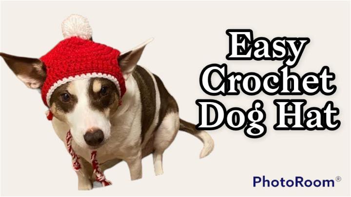 Easy Crochet Dog Hat Tutorial
