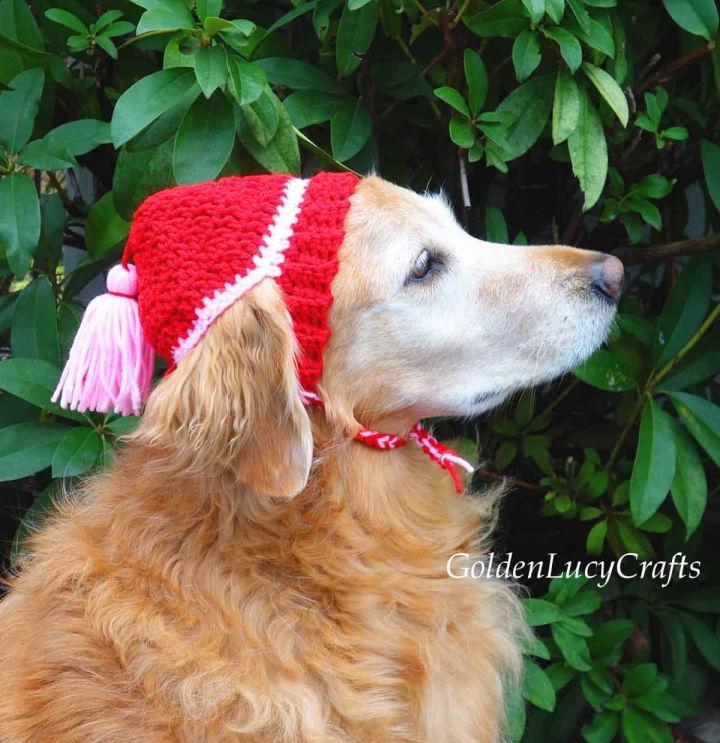 Free Crochet Dog Hat Pattern