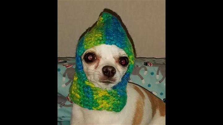 Free Crochet Pattern for Chihuahua Hat