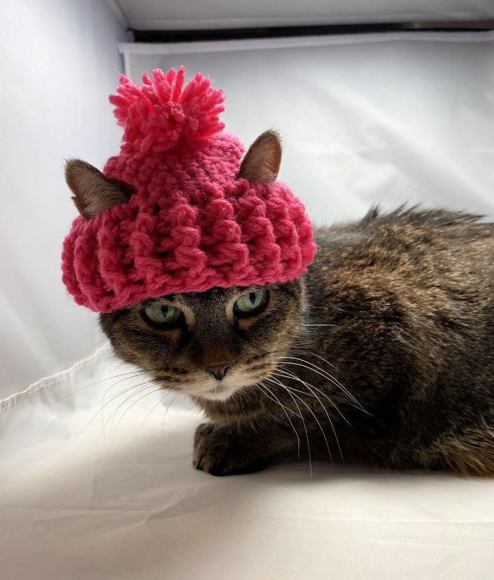 Free Crochet Pattern for Cat Hat