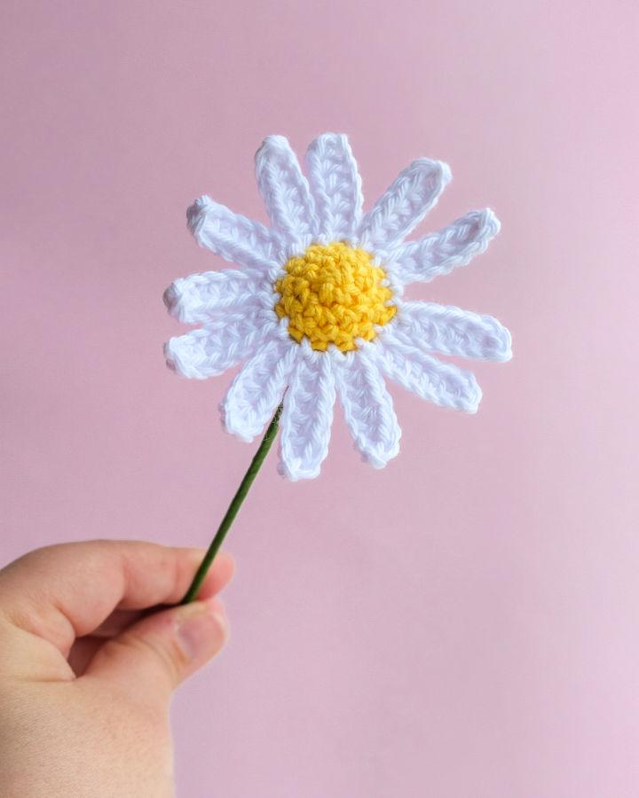 Free Crochet Daisy Flower Pattern