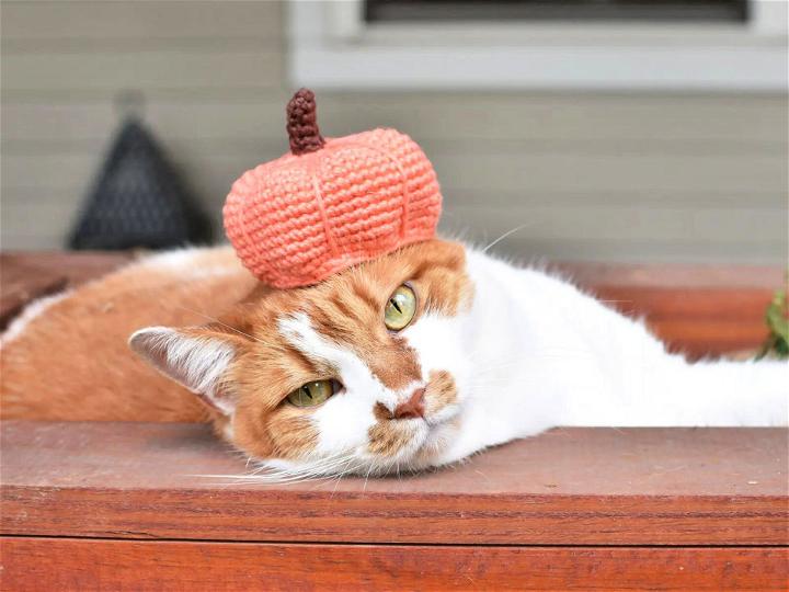 How to Make a Cat Pumpkin Hat - Free Crochet Pattern