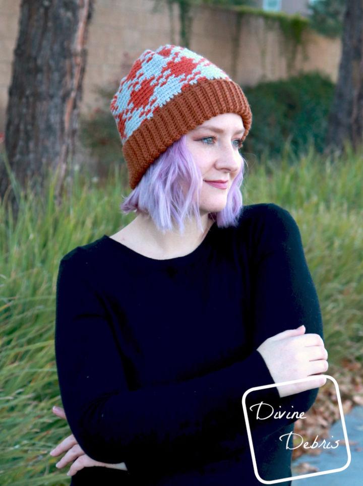 Pretty in Gingham Womens Beanie Crochet Pattern