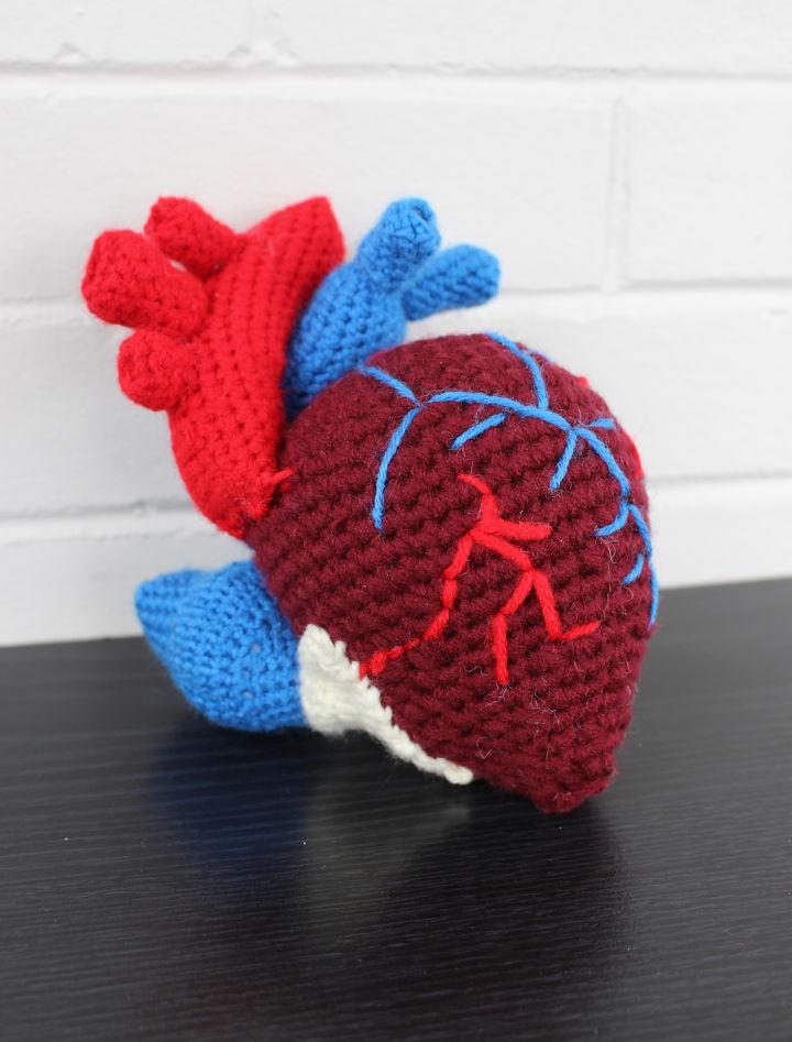 Free Crochet Realistic Human Heart Pattern