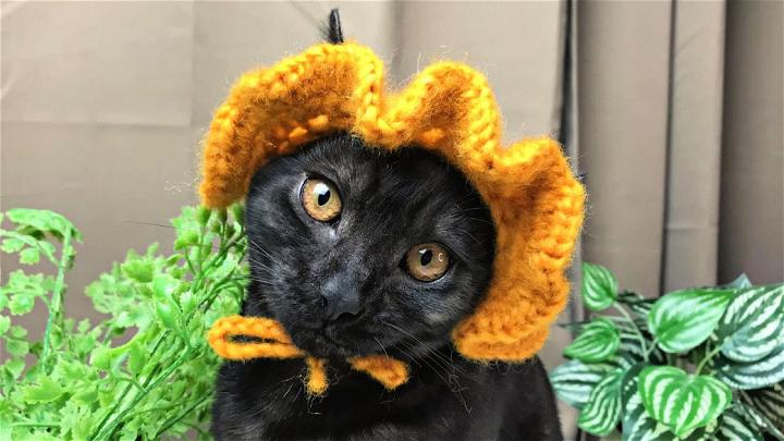 Super Easy and Fast Crochet Cat Hat Pattern