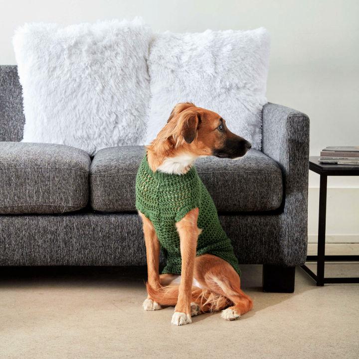 Beautiful Crochet Dapper Pup Sweater Pattern