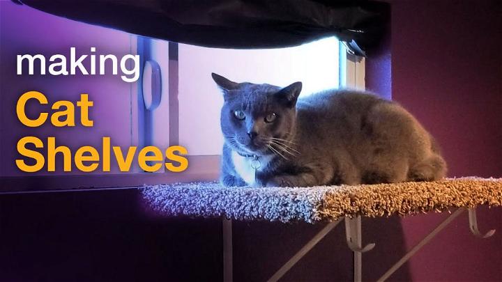 Build Your Own Cat Window Shelves