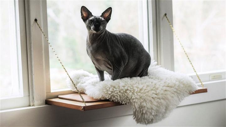 Building a Martha Stewarts Cat Window Perch