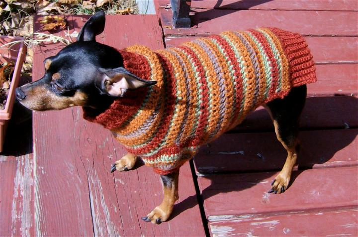 Crochet Autumn Stripes Dog Sweater Pattern