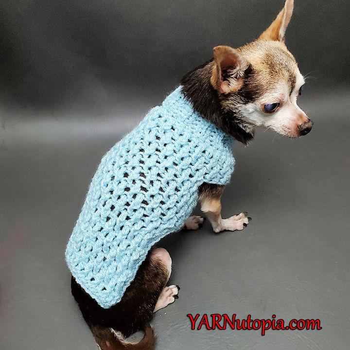 Crochet Bundle up Doggie Sweater Pattern