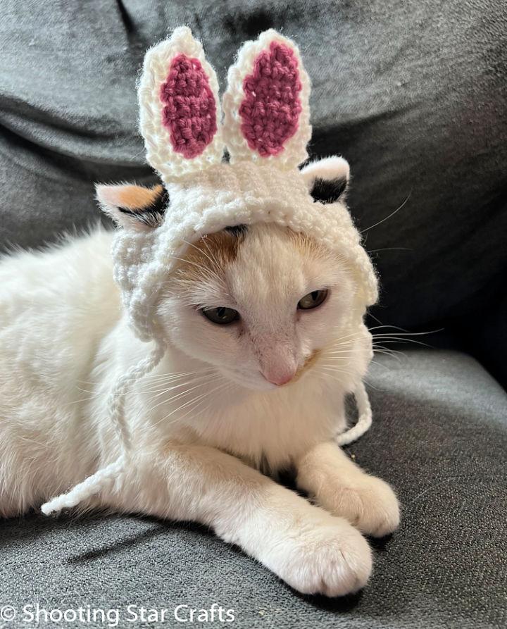 Crochet Bunny Hat Pattern for Cats