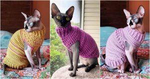 14 Free Crochet Cat Sweater Patterns - Blitsy