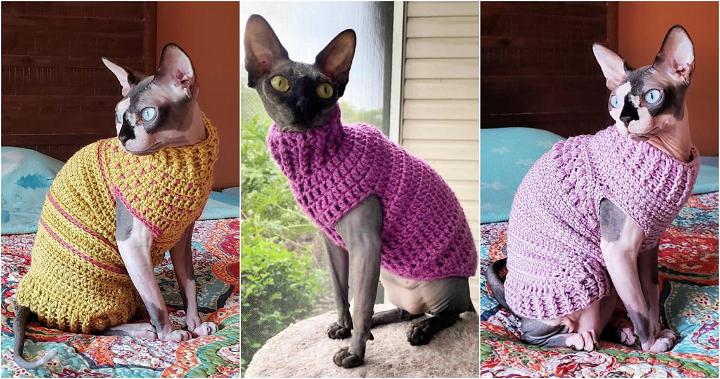 14 Free Crochet Cat Sweater Patterns