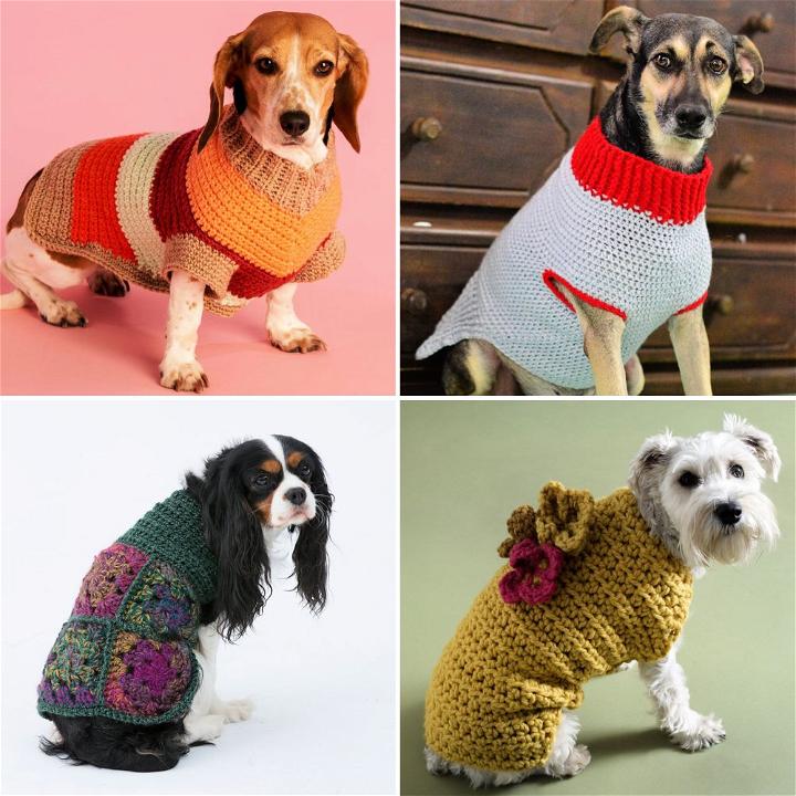 30 Free Crochet Dog Sweater Patterns (Easy Pattern)