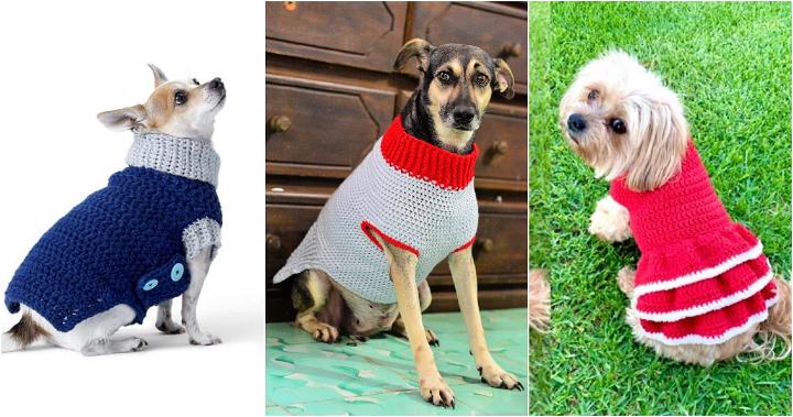 30 Free Crochet Dog Sweater Patterns (Simple Pattern)