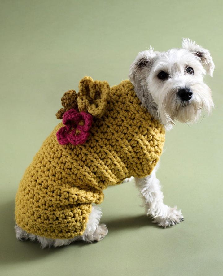 Crochet Flower Garden Dog Sweater Pattern