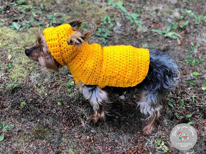 Crochet Jacks Small Dog Hoodie Sweater Pattern