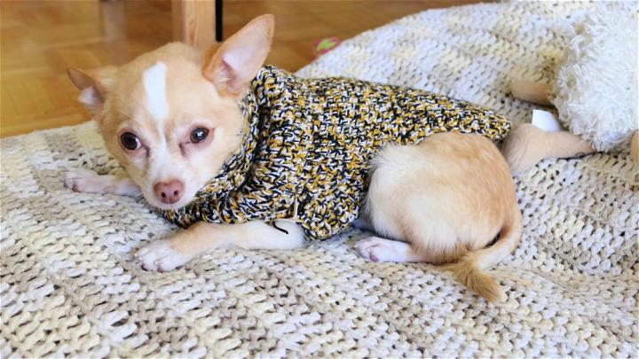 Crochet Turtle Neck Puppy Sweater Pattern