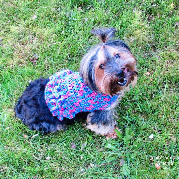 Crochet Vanessas Ruffle Butt Dog Sweater Pattern