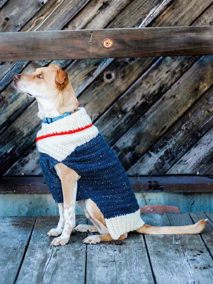 Crochet a Ready to Roam Dog Sweater