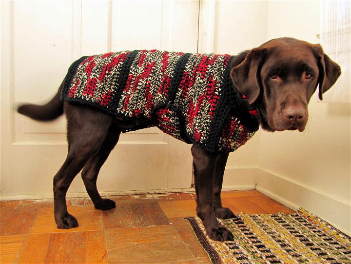 Crocheted Dog Sweater Free Pattern