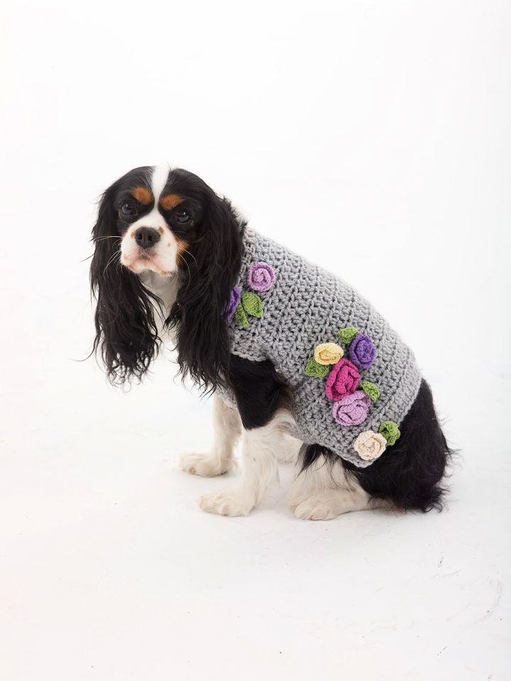 Crocheting the Lady Who Lunches Dog Sweater
