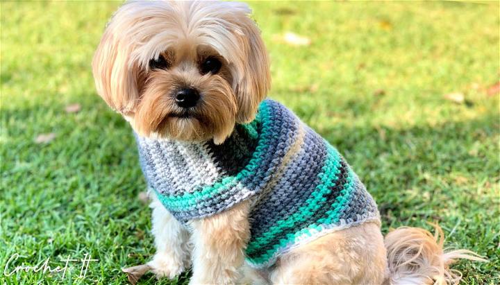 Cute Crochet Small Dog Sweater Pattern
