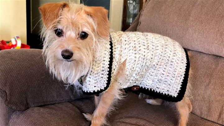 Easy Crochet Dog Vest Tutorial