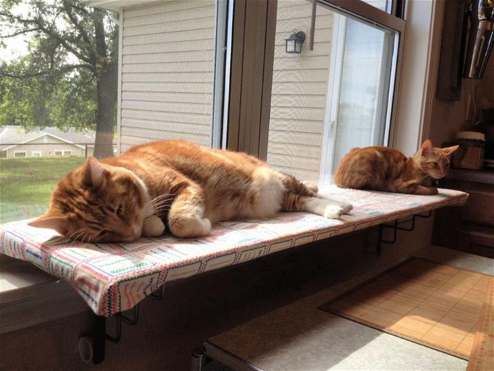 Easy DIY Cats Window Shelf