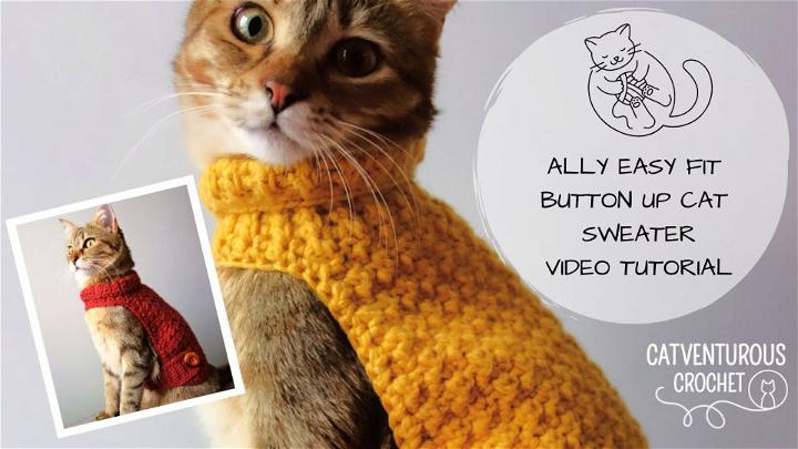 Free Crochet Pattern for Cat Sweater
