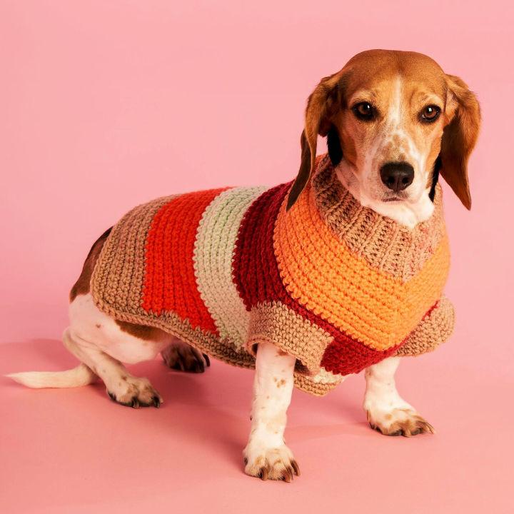 Free Crochet Pattern for Dog Sweater