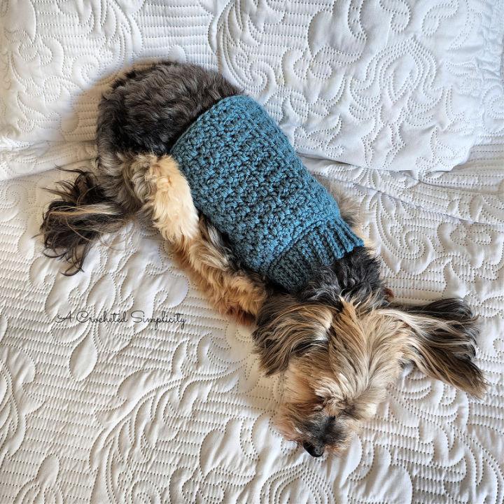 Free Crochet Pet Sweater Pattern