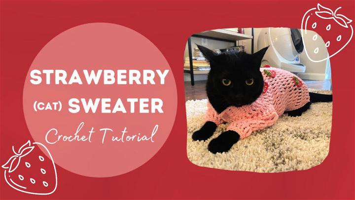 How Do You Crochet a Cat Sweater