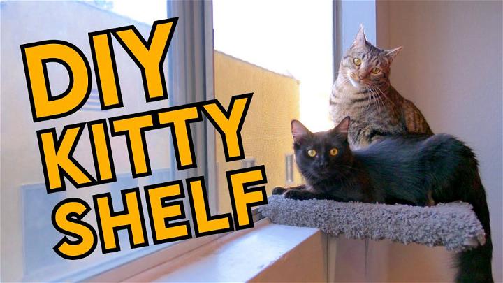 How to Build a Kitty Window Perch