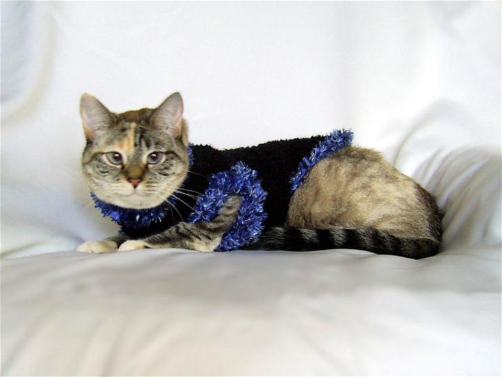 How to Crochet a Fur Trimmed Cat Sweater