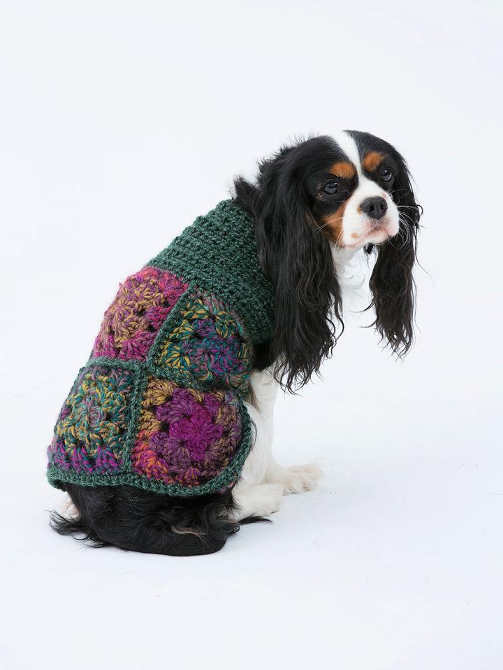 Modern Crochet Hippie Dog Sweater Pattern