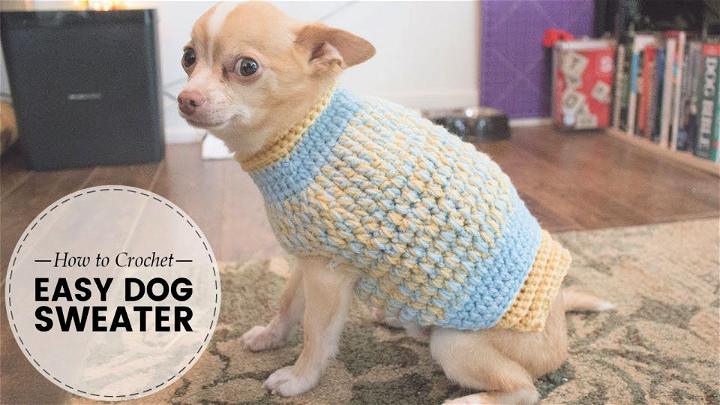 One Piece Crochet Dog Sweater Pattern for Beginners