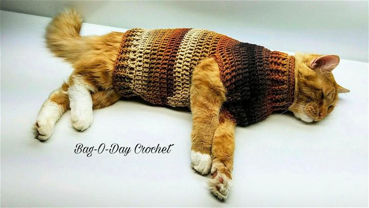 Quick and Easy Crochet Cat Sweater Tutorial