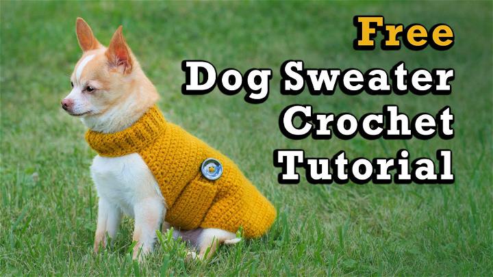 Quick and Easy Crochet Dog Sweater Pattern