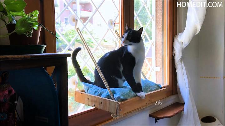 Quick and Easy DIY Cat Window Perch