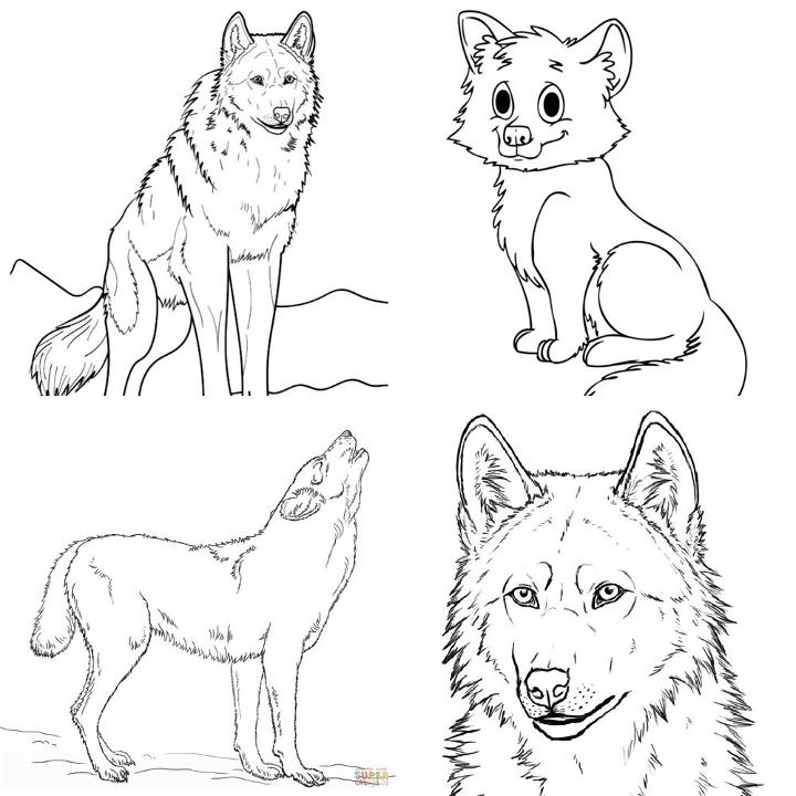 coloring pages of wolves in love