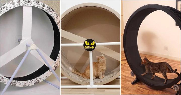 DIY cat wheel plans