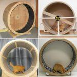 DIY Cat Wheel for Your Feline Friend