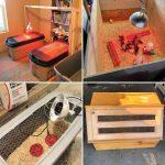DIY Chick Brooder to Keep Your Chicks Healthy and Happy