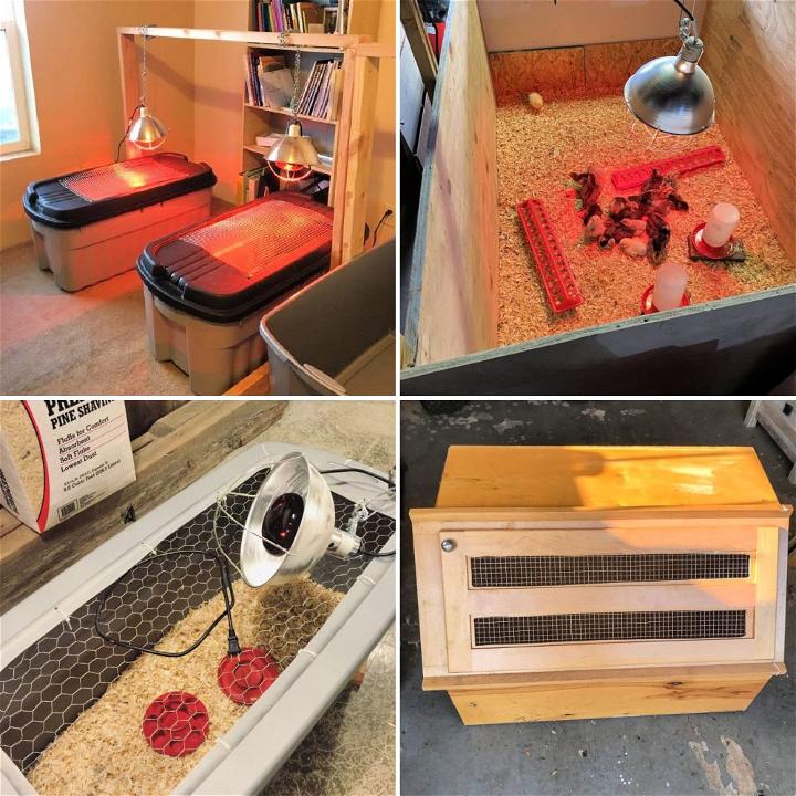 Diy chick brooder to keep your chicks healthy and happy blitsy