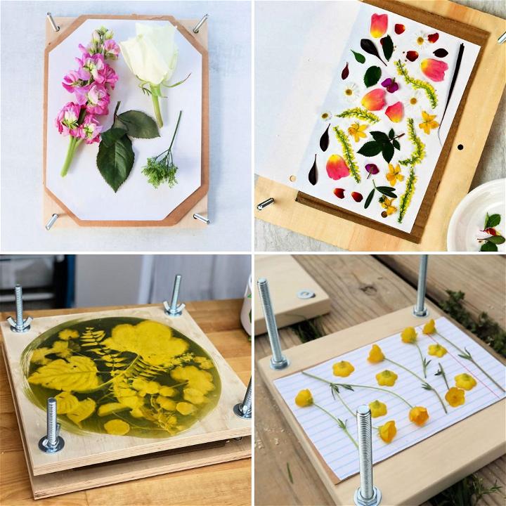 diy flower press
