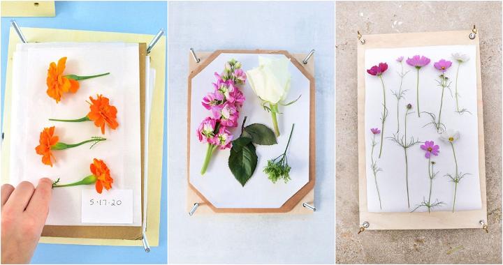 flower press ideas