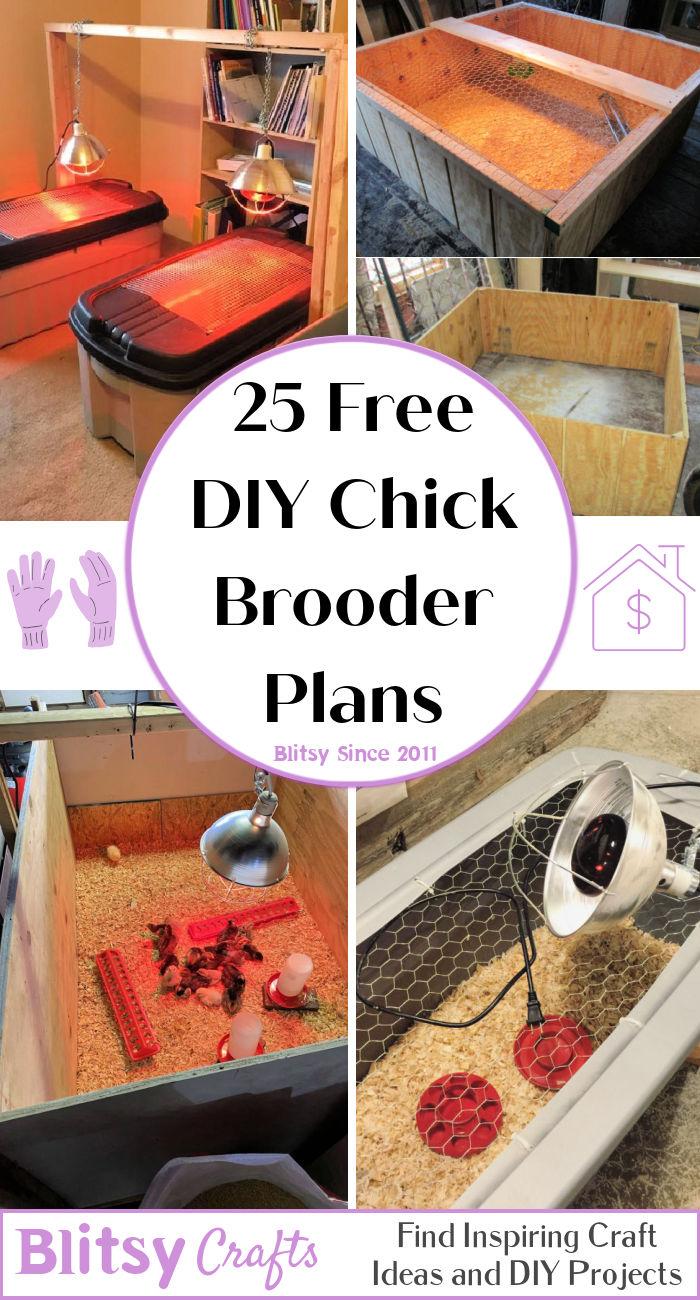 free DIY chick brooder plans