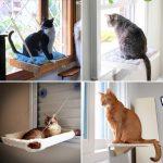 DIY Cat Window Perch - Step by Step Guide